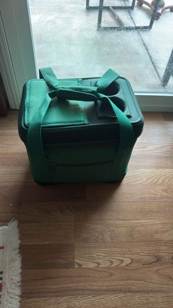Green lunch bag