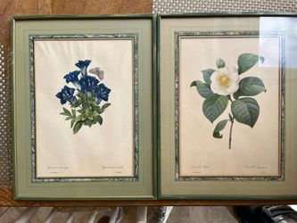 A Pair Of P.J. Redoute French Lithographs 