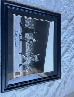 Ted williams autograph photo