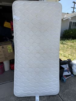 Twin Mattress and Box Spring