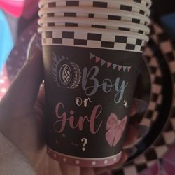 Gender Reveal Decorations 