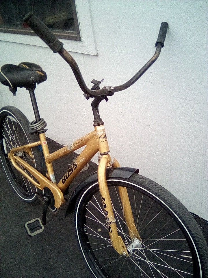 Single Speed Cruiser