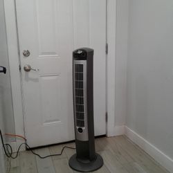 Fan