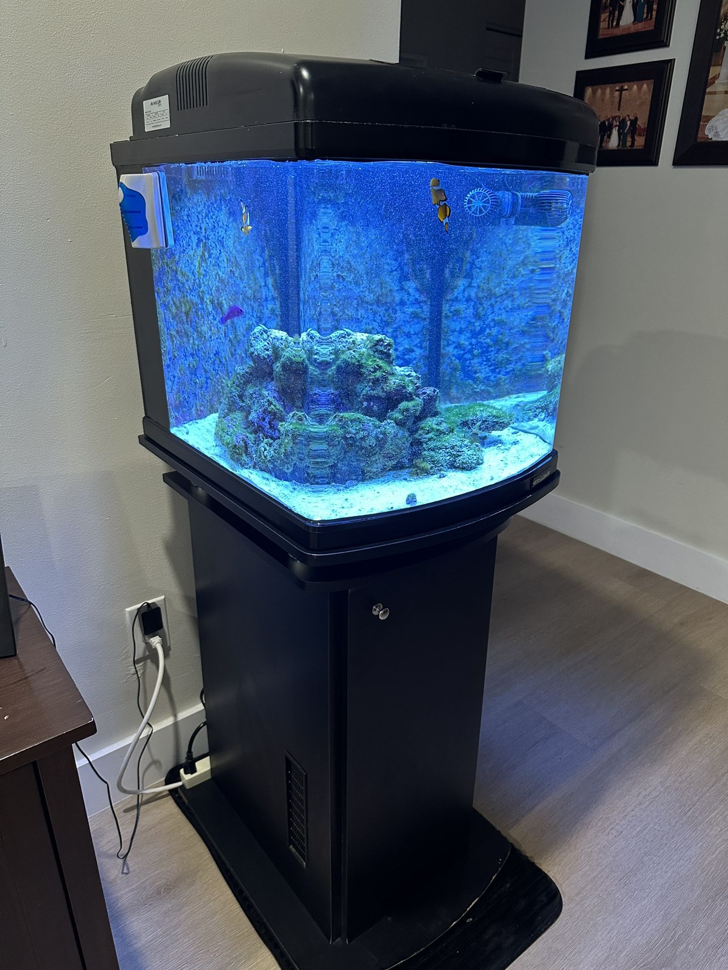 Saltwater 28gal Fish Tank