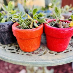 $10 Each Valentine 💝 Mexican Clay pots Succulents Arrangements Me