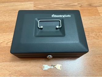 Sentry Safe Steel Small Lock Box