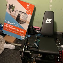 Rit Fit Leg Extension Machine/ Hamstring Curl 