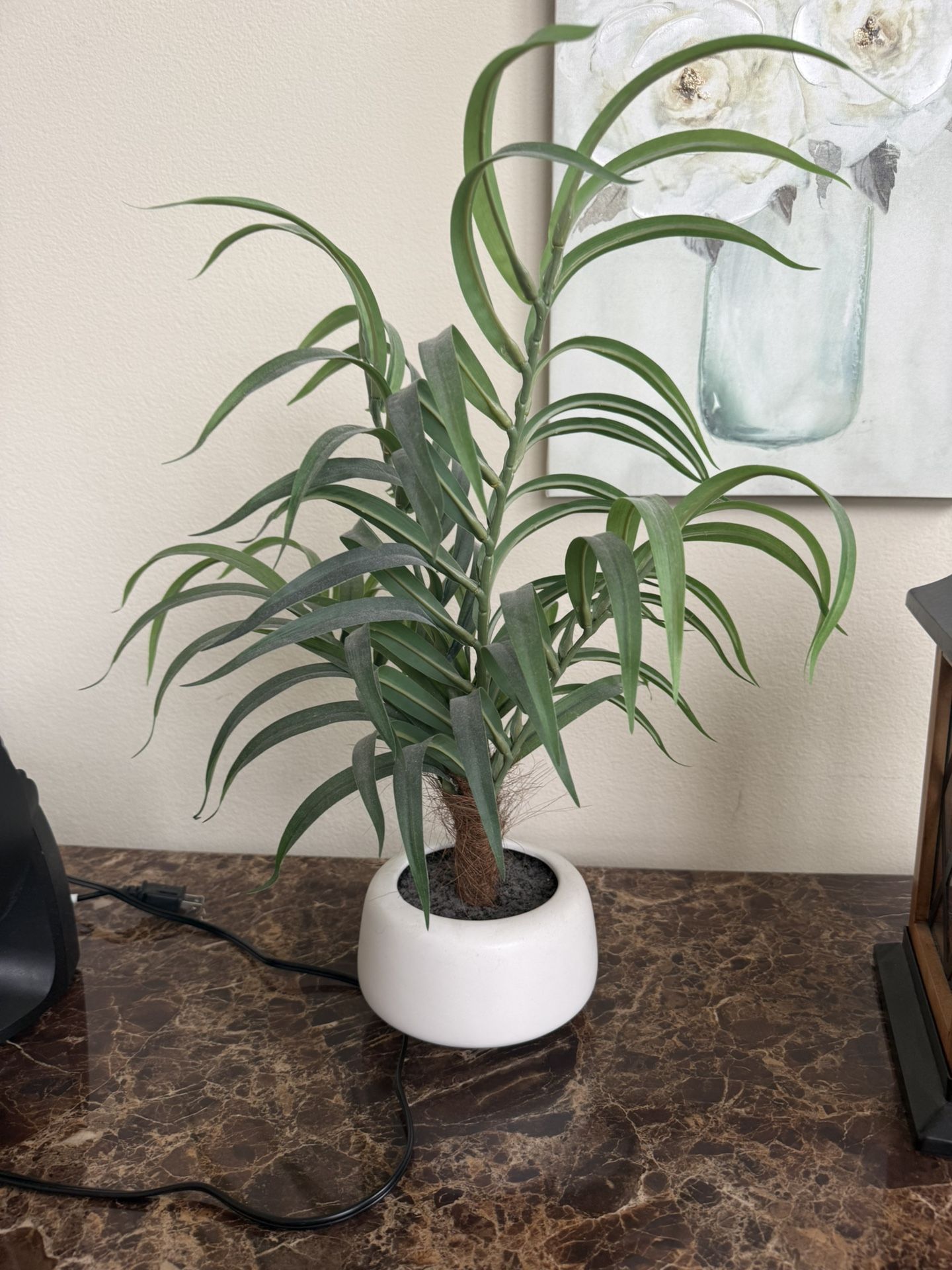 Fake Plant