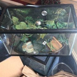 Reptile Tank w/Lid and Accessories 
