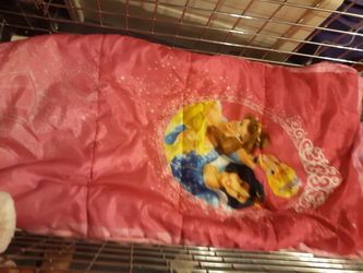 Sleeping bag