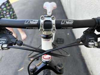 Scott Spark Jr 24