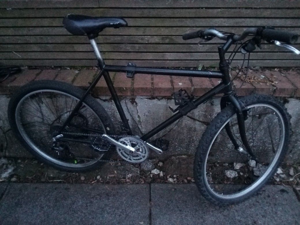 Vintage Haro Mountain Bike