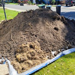 FREE FREE FREE dirt and cement blocks