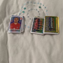Panini World Cup Stickers