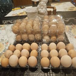 Fresh Eggs 