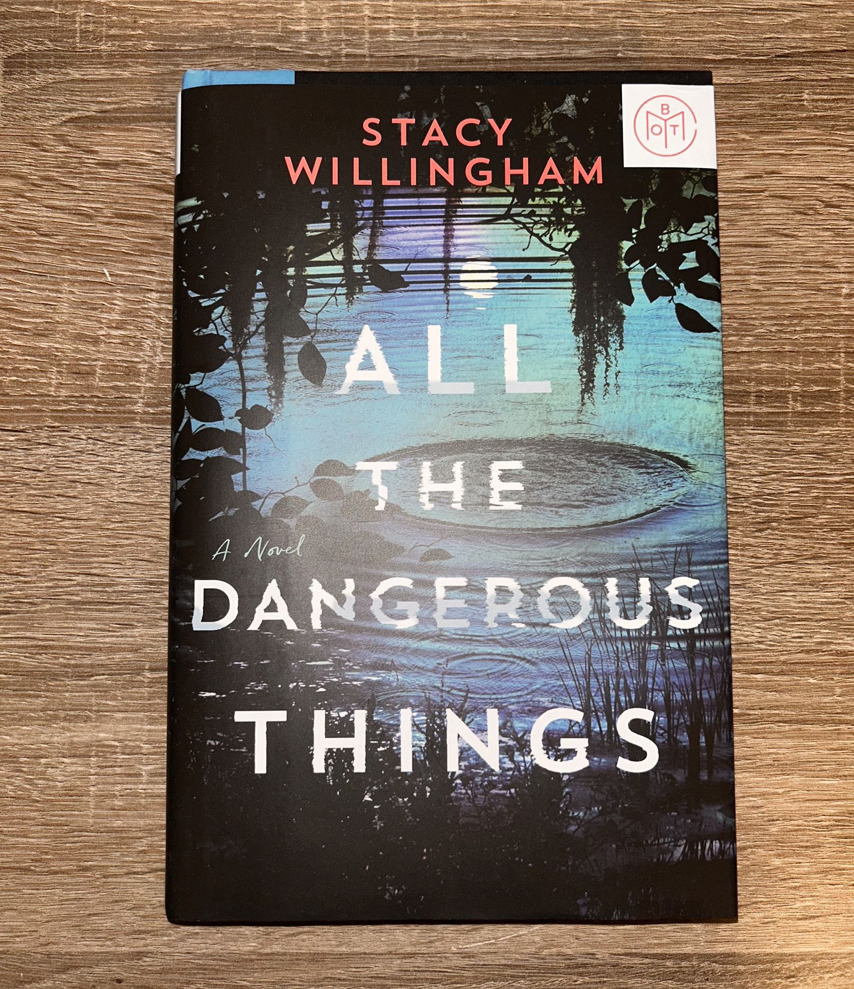 All The Dangerous Things By Stacy Willingham