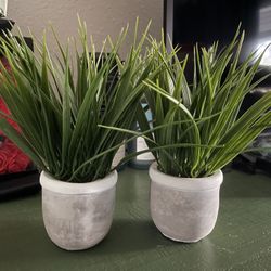 fake plants