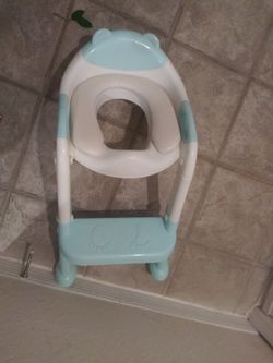 Potty Seat With Removable Cushion