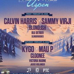 Palm Tree Festival Aspen Colorado