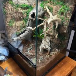 Custom Reptile and Amphibian Enclosures