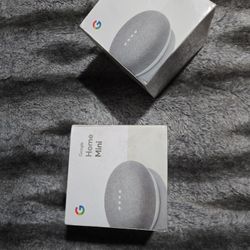 Google Home Mini