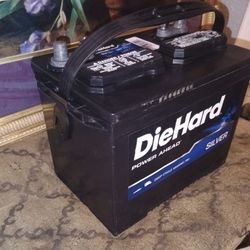 DieHard Silver 24DC-1 Deep Cycle Marine/RV Battery — 550 CCA — RC 140