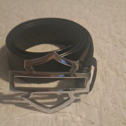 Harley Davison Glasses, leather belt and gloves woman medium. 25 each if bought individually