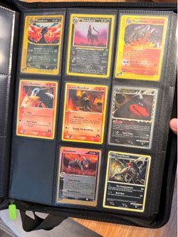 Pokemon Houndoom Lot