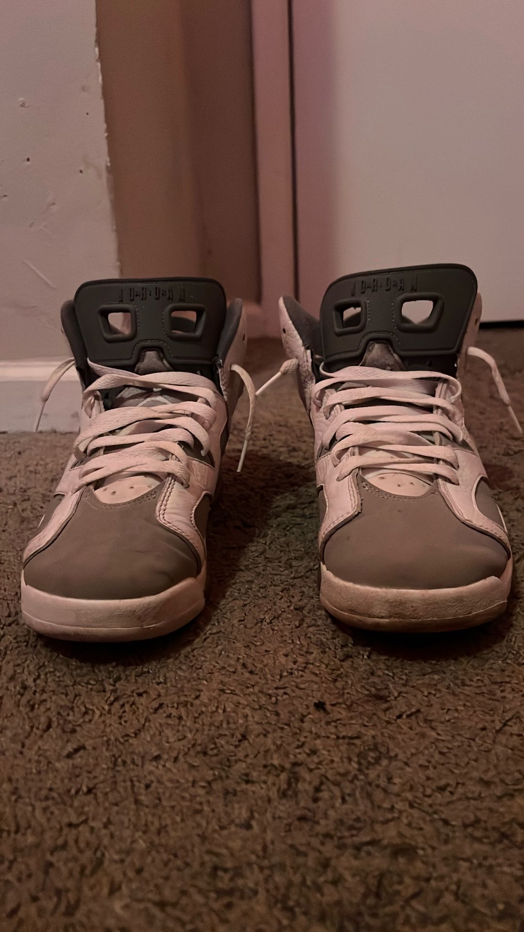 Jordan 6s