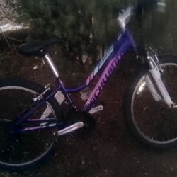Schwinn Ranger 24" Mountain Bike