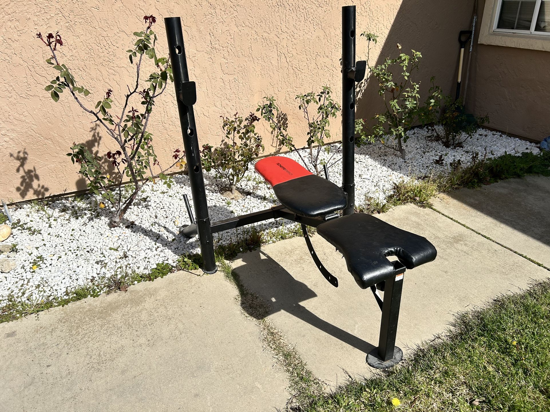 Adjustable Bench And Squad Rack