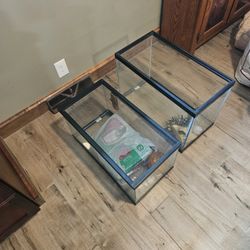 Fish Tanks