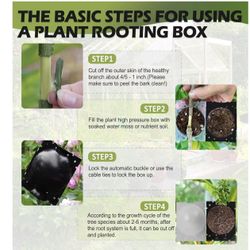 Propagation balls for plants