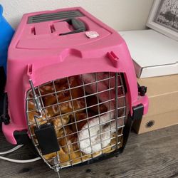 cat carrier
