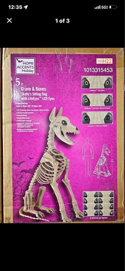 Halloween skelly dogs