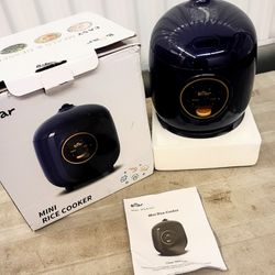 Mini Cooker