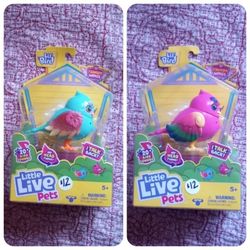 Live Pets Each $12