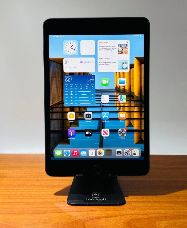 Apple iPad Mini 5 64GB Fully Functional