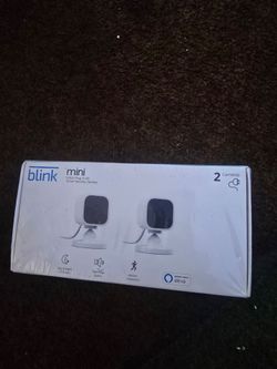 2 camara blink mini