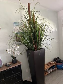 Large Tall Black Planter with Grass Arrangement