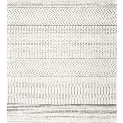 Brand New Area Rug 