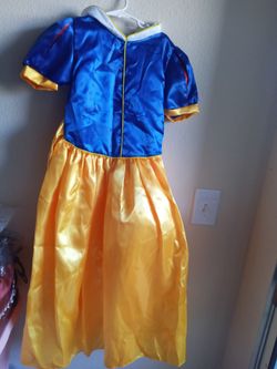 Snow White Princess Costume Dress