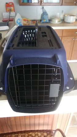 Pet travel