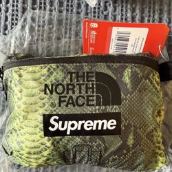 Supreme The North Face Snakeskin Flyweight Duffle Bag