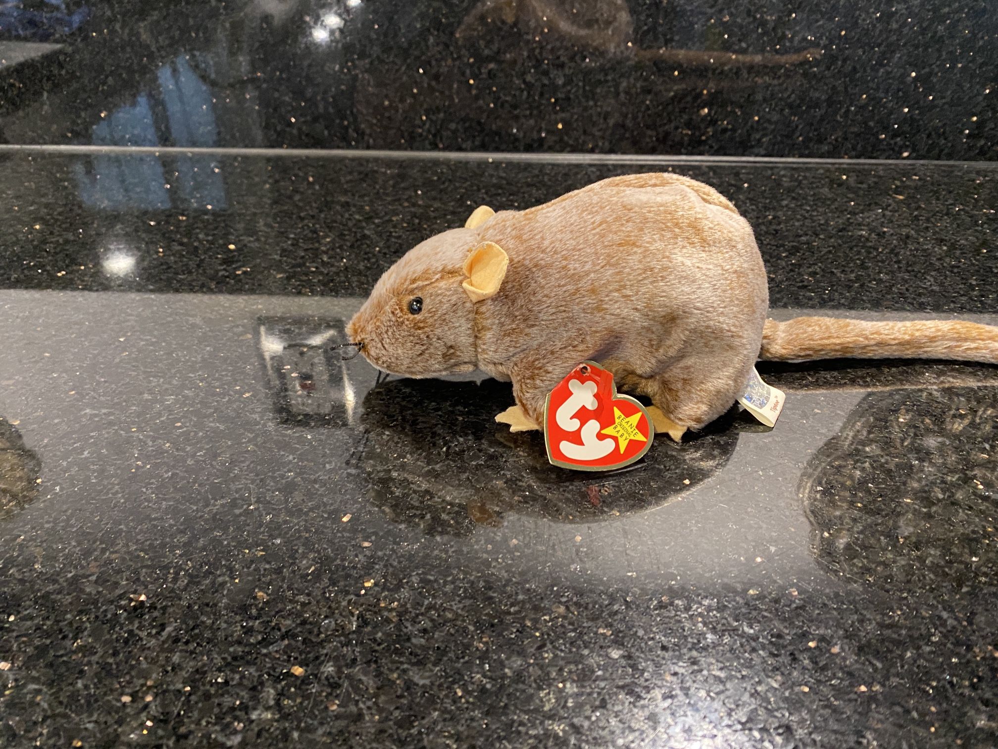 Vintage Tiptoe Ty Beanie Babies Collection 1999