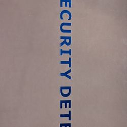 INTELLIGENT SECURITY DETECTOR