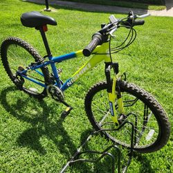 Nishiki Pueblo 24 Junior Mountain Bike - $75