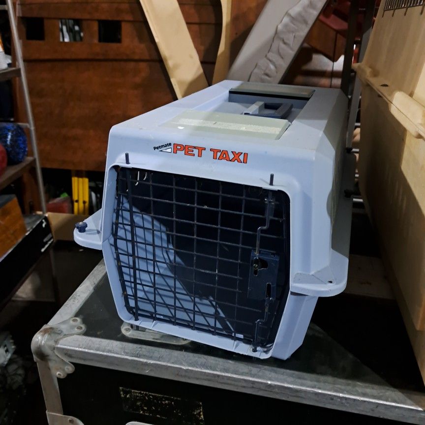 Pet Taxi And Pet Carrier