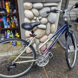 Trek Bike