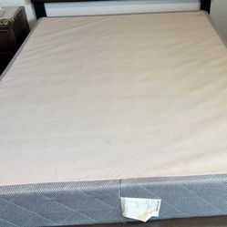 Queen Bed with Box Spring  $250